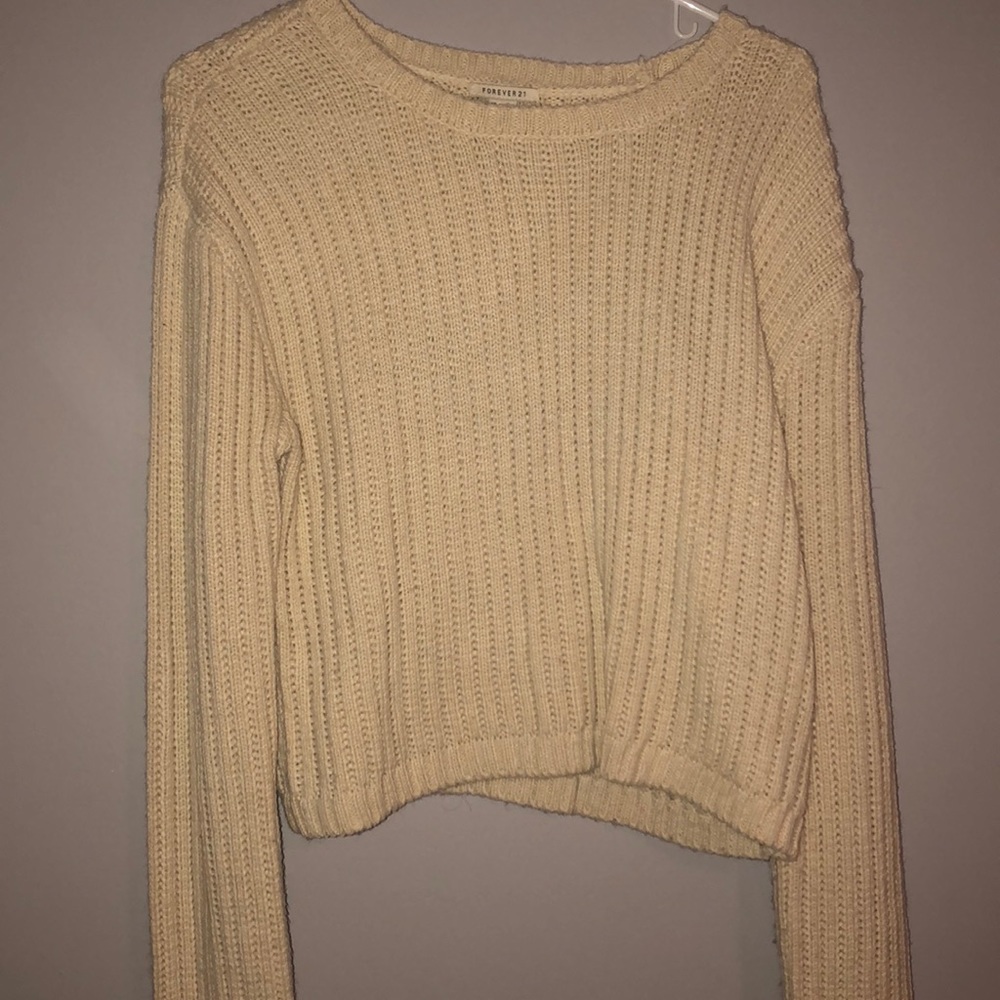 Forever 21 cropped sweater